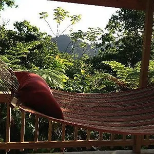 Lodge Roots Jungle Retreat